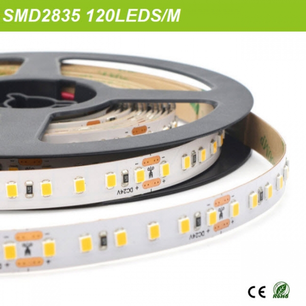 Componex By E-Led Strip LED 5 Metri SMD2835 24V Temperatura Variabile 2700K-6500K Con 1200 LED