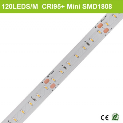 Best price CRI95 led strip