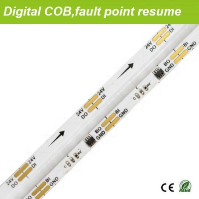 24V break point resume Pixel COB strips 