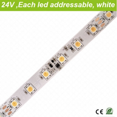 24V single pixel addressable white led strips 