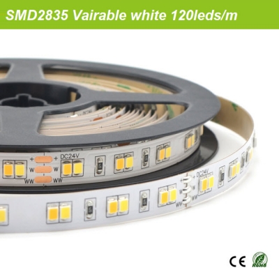 SMD2835 Tunable white strips