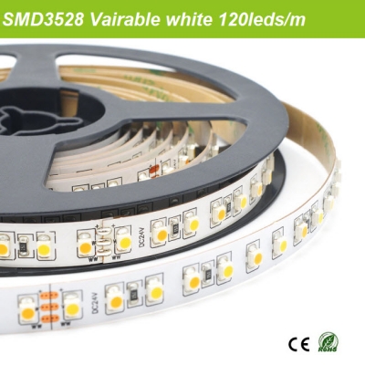 SMD3528 Variable white led strip
