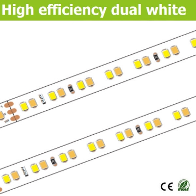 24V dual white led tape